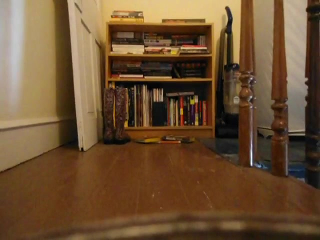 Click to play video peeing on books